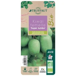 TRUFFAUT AB - Kiwaï 'Super Jumbo' femelle bio : pot de 1,5 litres
