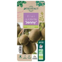 TRUFFAUT AB - Kiwi deliciosa 'Jenny' autofertile bio : pot de 1,5 litres