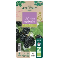 TRUFFAUT AB - Mure 'Triple Crown' bio : pot de 3 litres