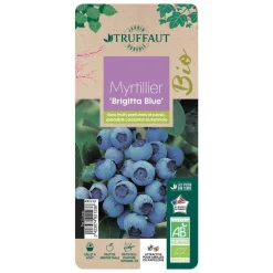TRUFFAUT AB - Myrtillier 'Brigitta Blue' bio : pot de 3 litres