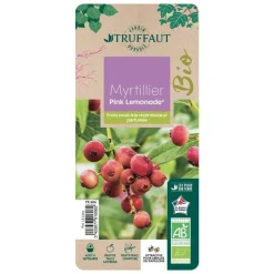 TRUFFAUT AB - Myrtillier 'Pink Lemonade®' bio : pot de 1,5 litres