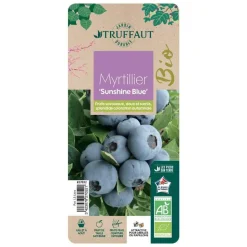TRUFFAUT AB - Myrtillier 'Sunshine Blue' bio : pot de 1,5 litres