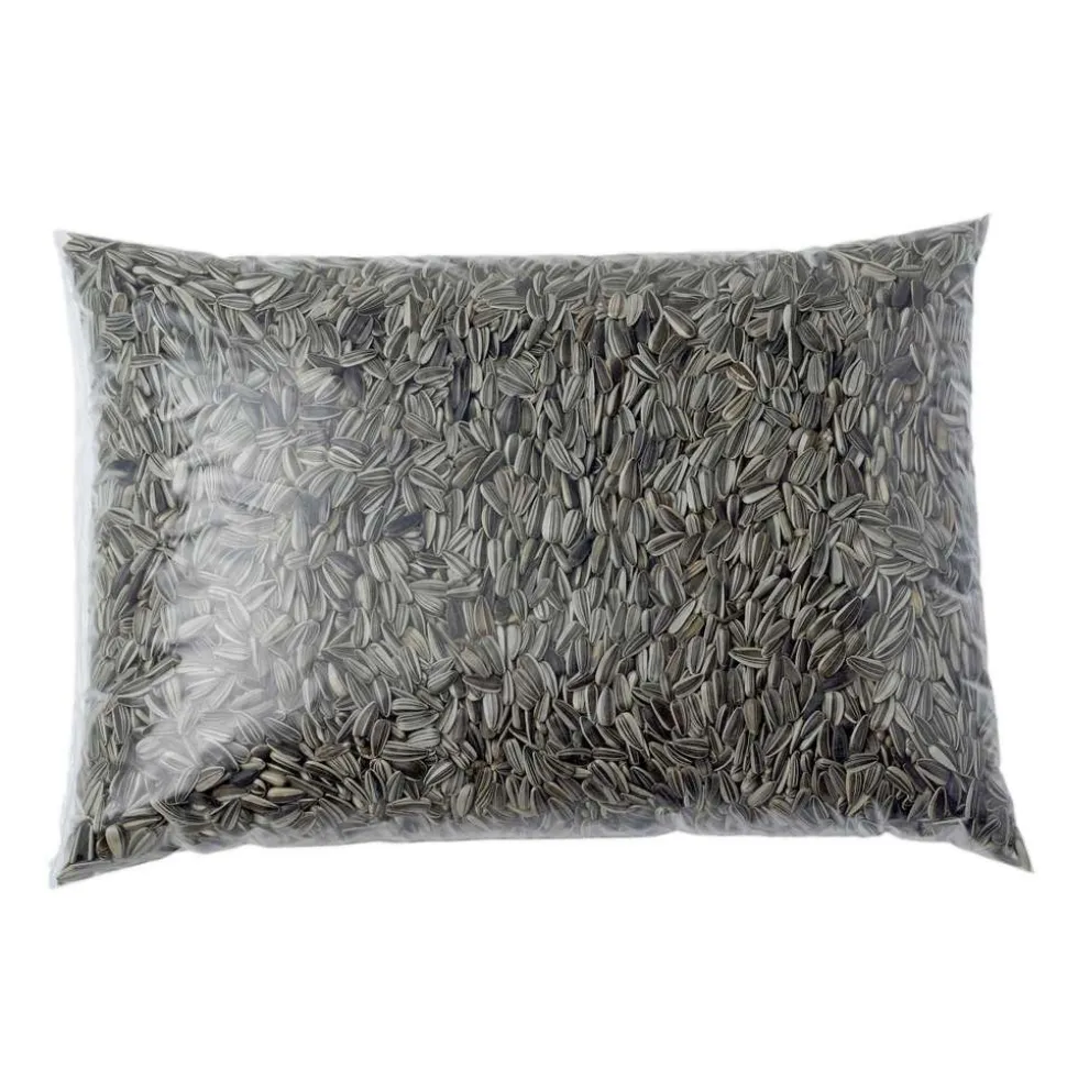 TRUFFAUT BIODIVERSITÉ - Graines de tournesol pour oiseaux du jardin - 4 kg