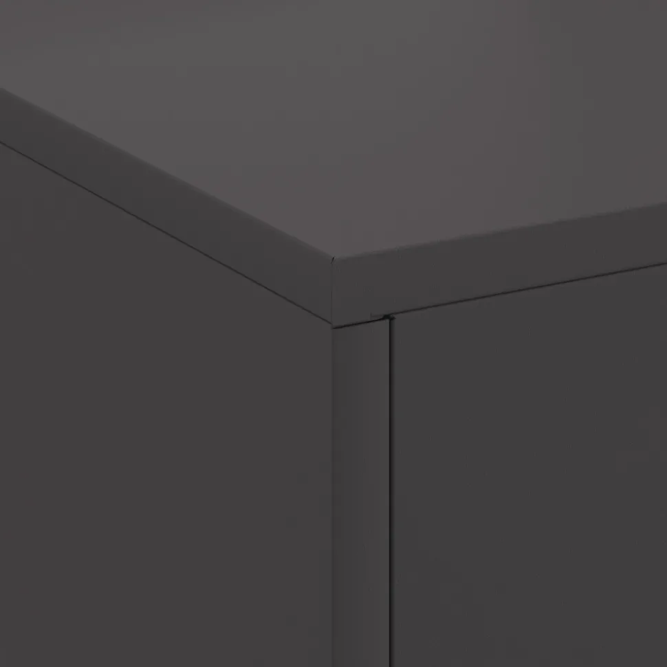 VIDAXL - Foyer avec cheminée noir 80x50x96 cm acier