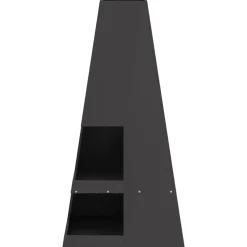 VIDAXL - Foyer avec rangement pour bûches noir 50x50x100 cm acier