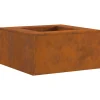 VIDAXL - Foyer carré 60x60x30 cm en acier résistant aux intempéries