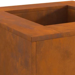 VIDAXL - Foyer carré 60x60x30 cm en acier résistant aux intempéries