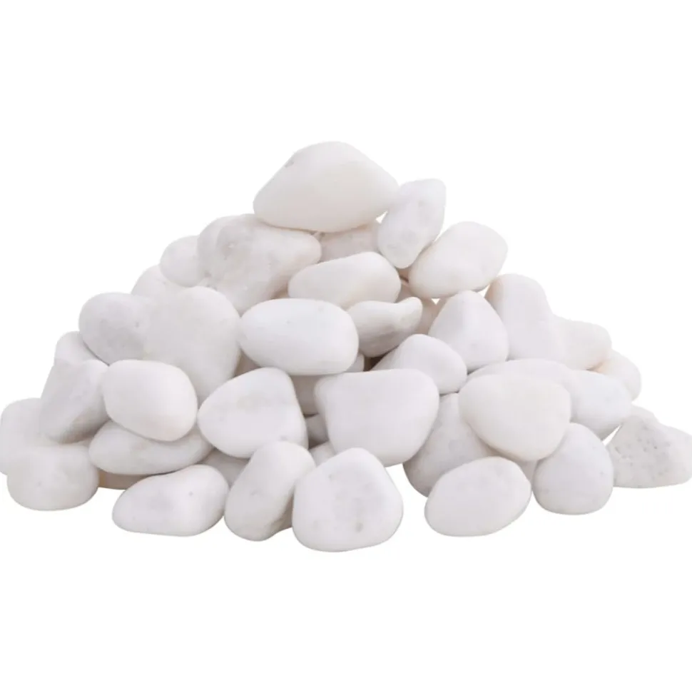 VIDAXL - Galets polis 10 kg blanc 2-5 cm