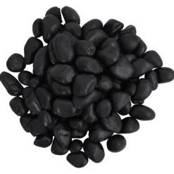 VIDAXL - Galets polis 10 kg noir 2-5 cm