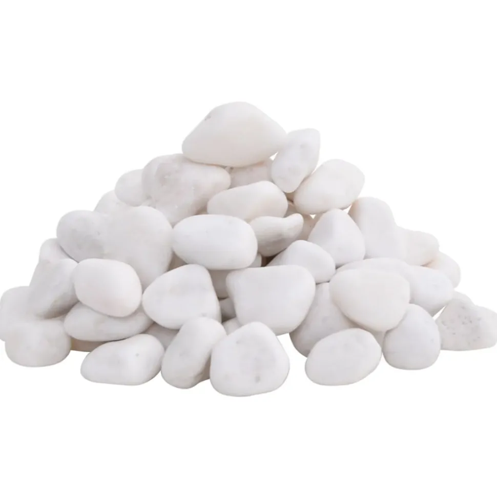 VIDAXL - Galets polis 10 kg blanc 2-5 cm