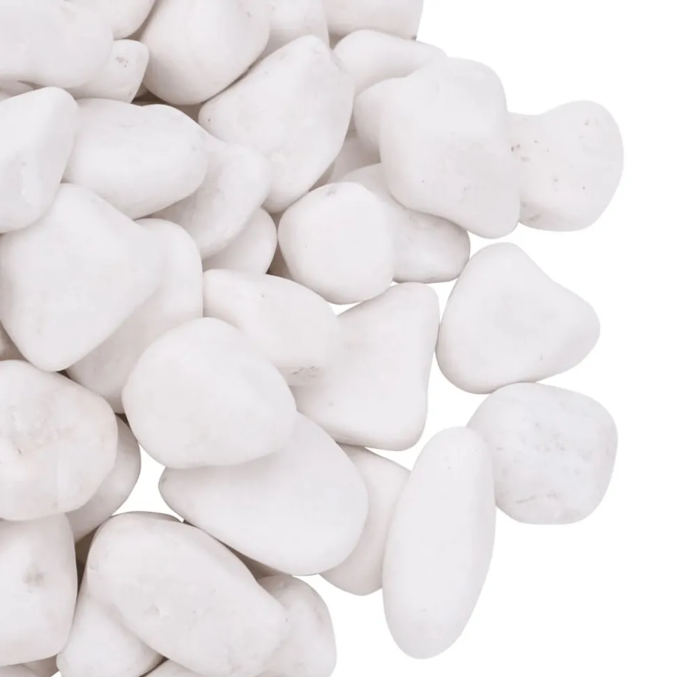 VIDAXL - Galets polis 10 kg blanc 2-5 cm