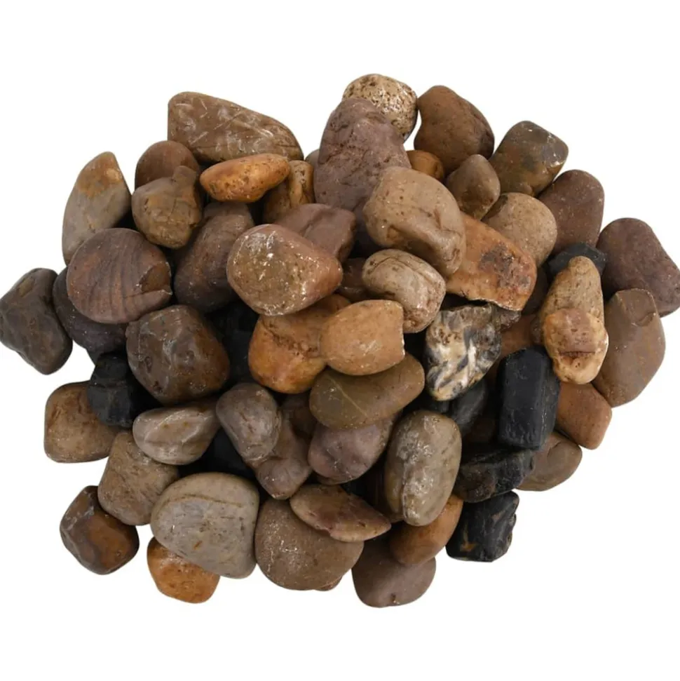VIDAXL - Galets polis 10 kg multicolores 2-5 cm