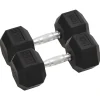 VIDAXL - Haltères 2 pcs 30 kg total fonte
