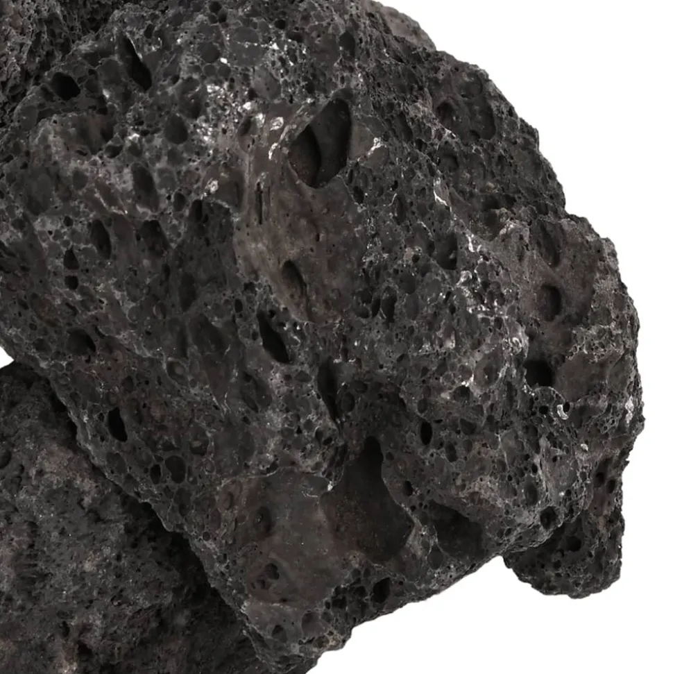 VIDAXL - Roches volcaniques 25 kg noir 10-30 cm