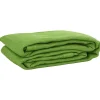 VIDAXL - Tapis de tente vert clair 250x550 cm pehd