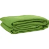 VIDAXL - Tapis de tente vert clair 250x500 cm pehd