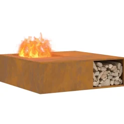 VIDAXL - Vitrexl foyer avec rangement à bûches 100x100x30 cm acier résistant aux intempéries