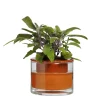 WET POT SYSTEMS - Pot à réservoir d’eau en terre cuite – Taille XS