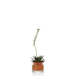 WET POT SYSTEMS - Pot à réservoir d’eau en terre cuite – Taille XS