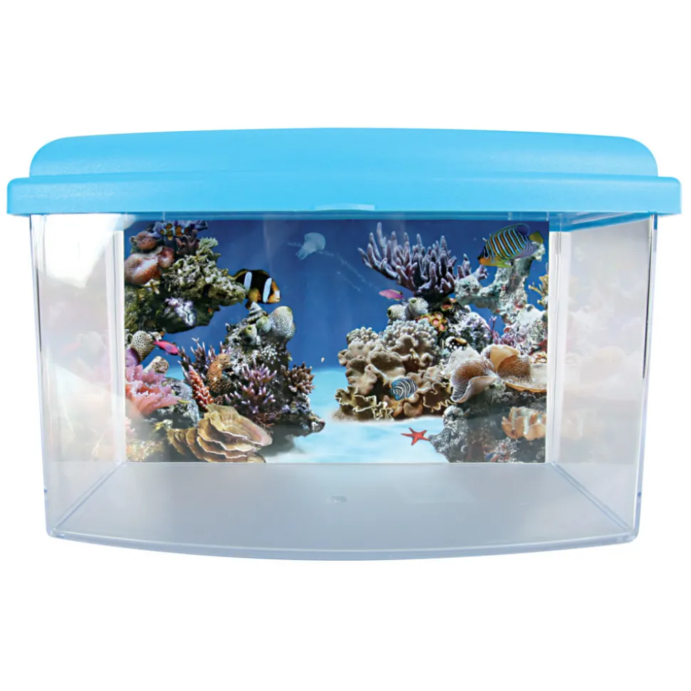 ZOLUX - Boîte de transport aqua travel 22 cm