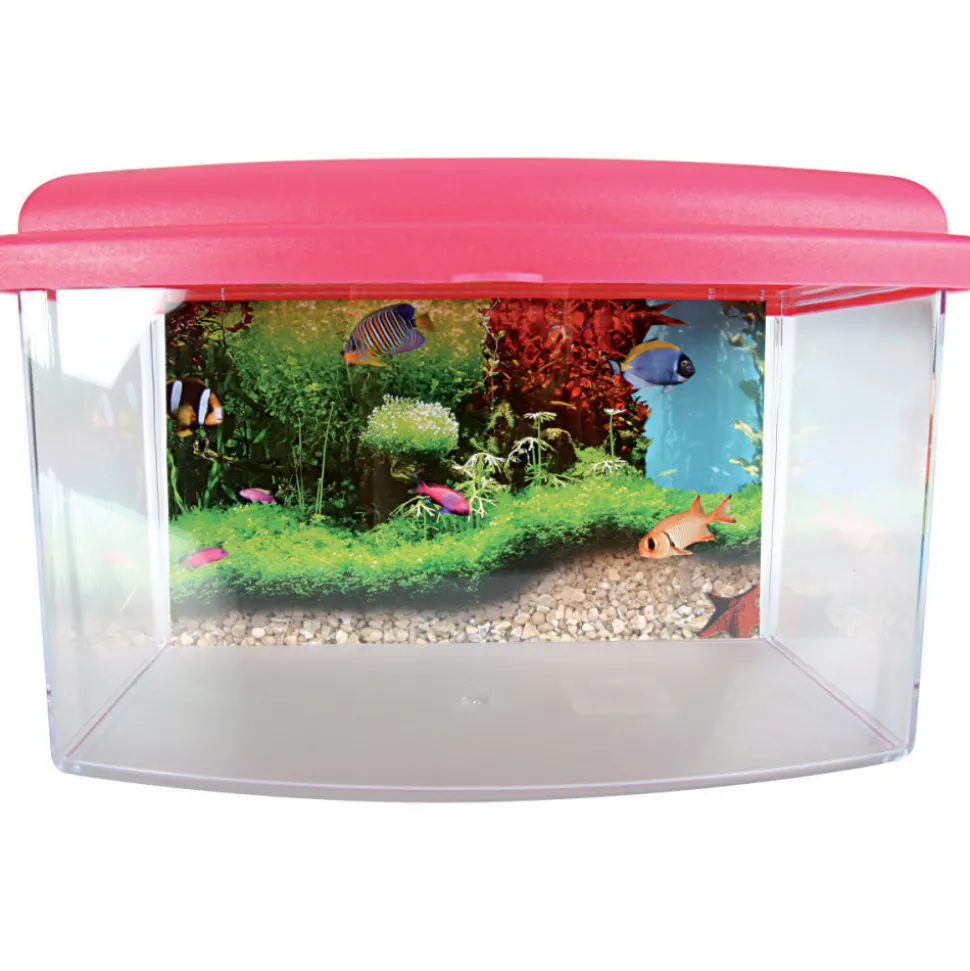 ZOLUX - Boîte de transport aqua travel 22 cm
