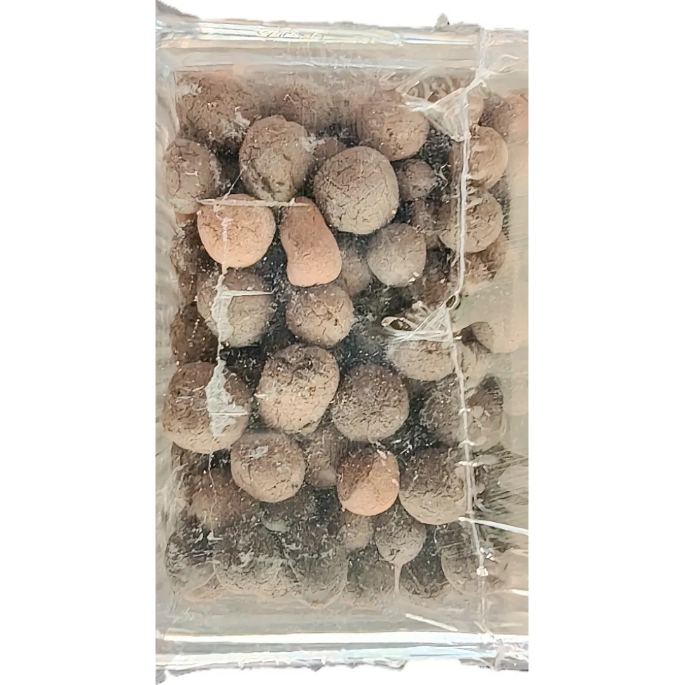 ZOLUX - Cartouche billes pour nanolife 200 max pour aquarium