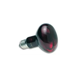 ZOO MED - 50 w zoo med lampe spot infrarouge - lampe chauffante infra-rouge nocturne