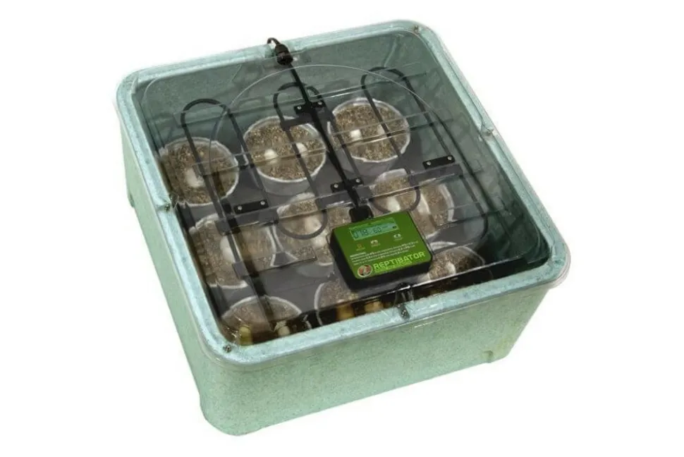 ZOOMED - Reptibator - incubateur pour oeufs de reptiles - rampe et tube t5 pour reptiles (lézards, serpents et tortues)